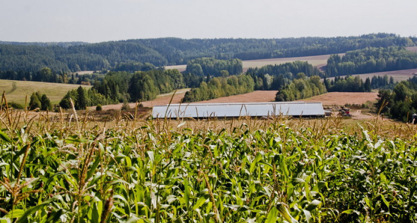 Воронежская область нарушила антимонопольное законодательство