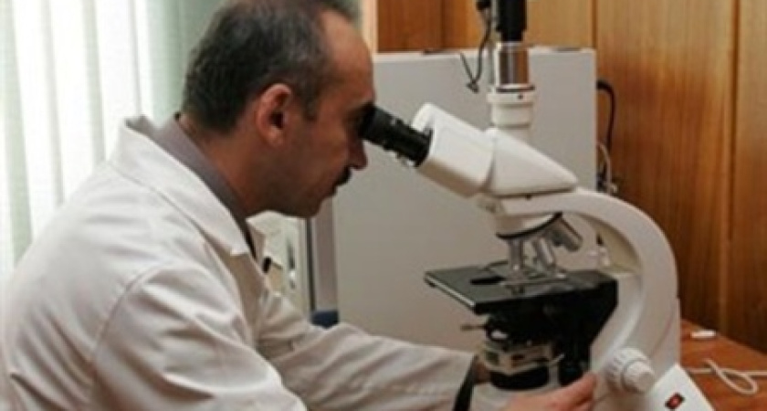 Воронежские научные сотрудники получают в три с лишним раза меньше, чем ямало-ненецкие