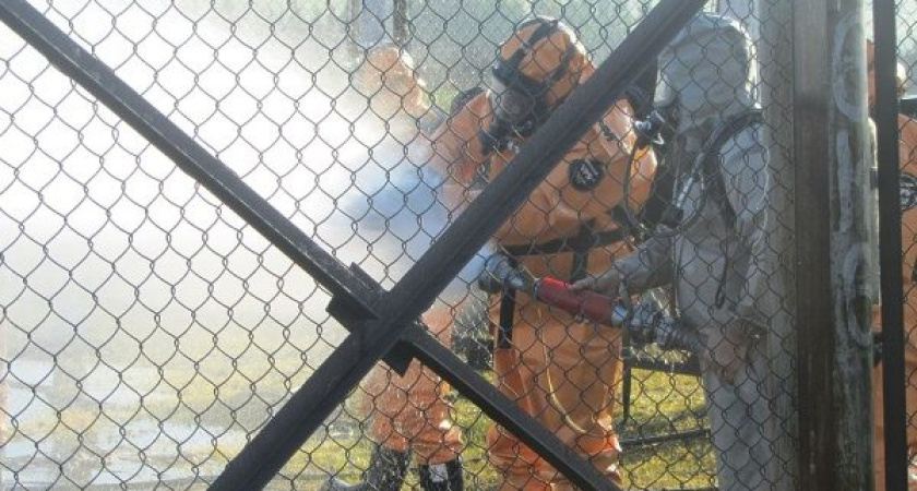 Вопреки документам и фактам "Трансаммиак" усмотрел в позиции воронежских ведомств желание нажиться