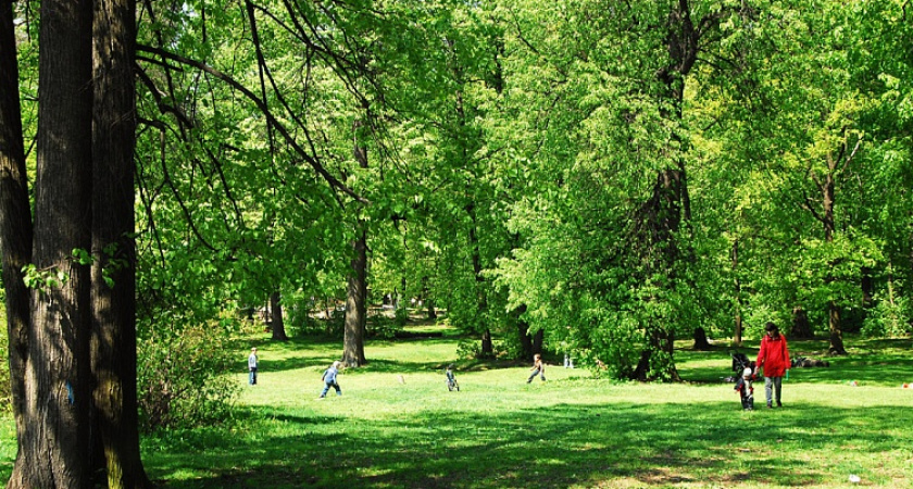 КСП предъявила претензии Воронежскому заповеднику 