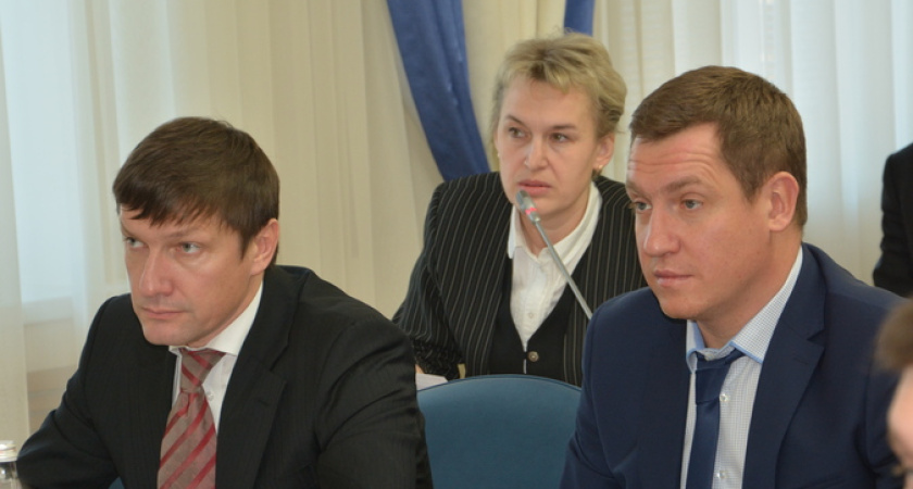 «Спасибо воронежским депутатам!»