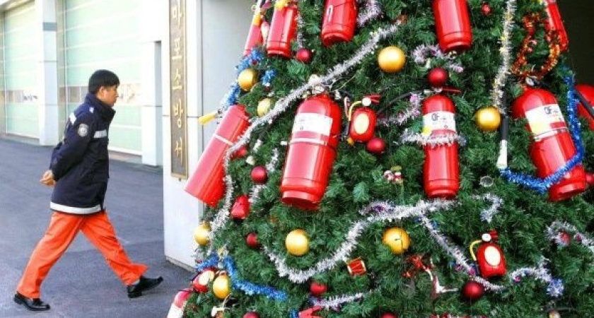 В Воронежской области установлен противопожарный режим