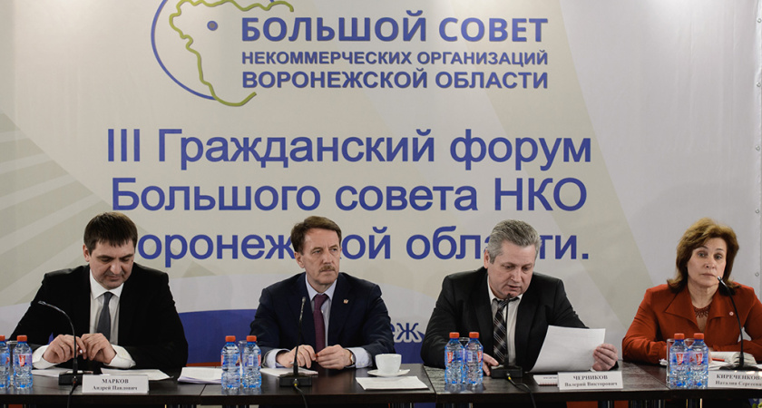 Шесть воронежских общественных проектов разделят 4,5 млн рублей