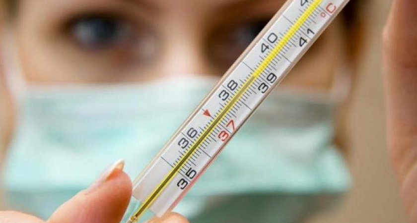 Воронеж готовится к вспышке гриппа 