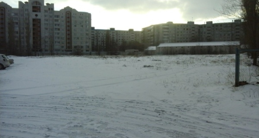 Нужен ли в «Танаисе» ледовый дворец решат воронежцы 