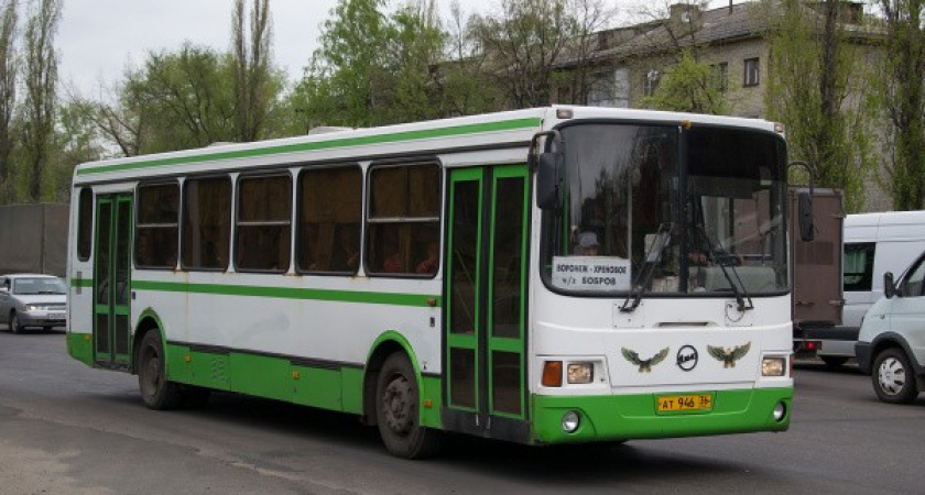 Воронежские перевозчики хотят возить пассажиров дороже