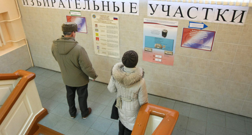 Воронежских наблюдателей не будут выгонять с участков за избыточную численность