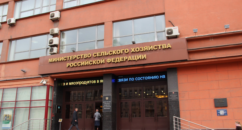 «Независимую экологическую экспертизу проведут за счет Воронежской администрации»