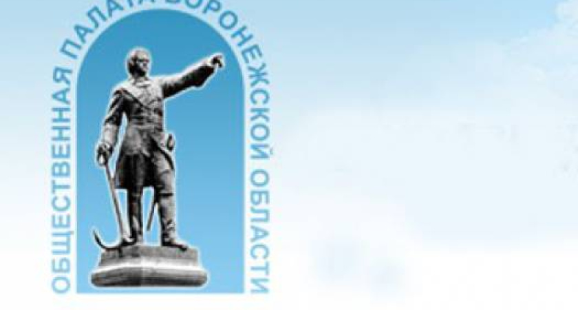 Воронежская общественная палата станет жить богаче