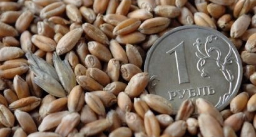 Воронежская область получит федеральных субсидий на 600 млн рублей