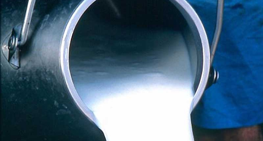 «Школьное молоко» обойдется воронежской казне в 80 млн рублей