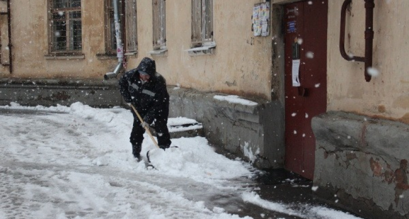 В Воронеже трое дворников-симулянтов грозятся устроить «бунт» 