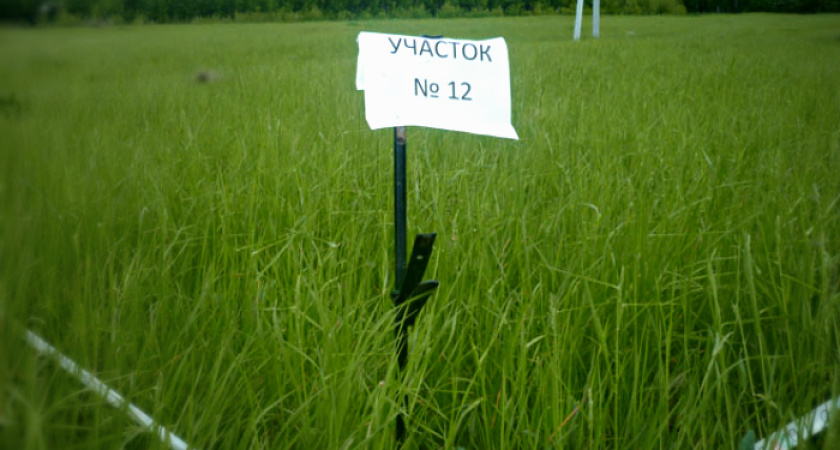 Земельное законодательство в Воронежской области  уже изменилось