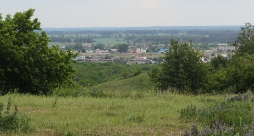 Правительство Воронежской области получило право отдавать землю без торгов