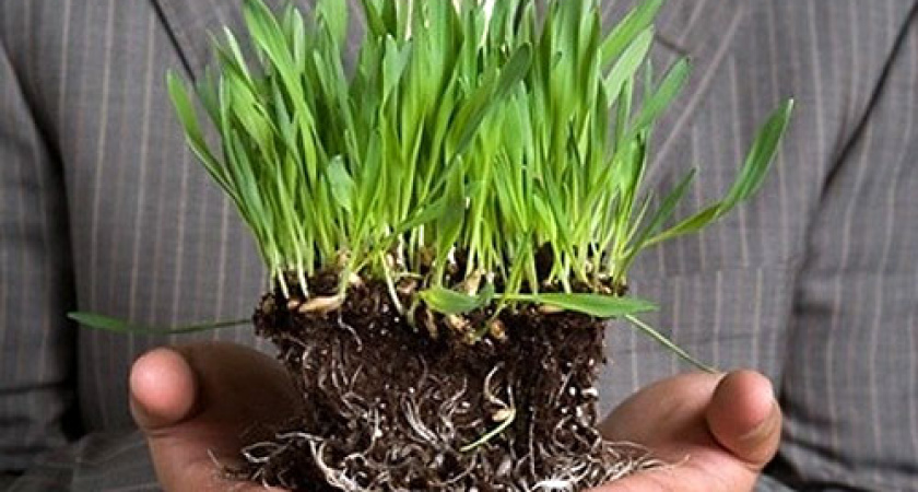 Сбербанк предлагает аграриям выгодные кредиты 