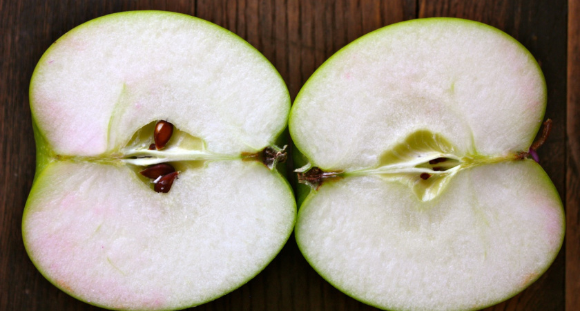  Воронежские «яблочники» огорчены решением Григория Явлинского