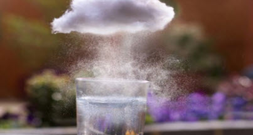 Производители Воронежской области устояли перед бурей в стакане молока