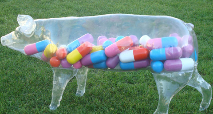 Антибиотики - лекарство, но не еда для воронежцев 