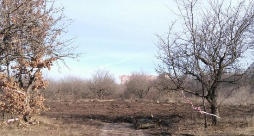 В Воронеже сделан выбор: дома вместо яблоневого сада