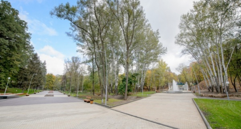 Распоряжаться Зелёным театром будет Воронежский концертный зал