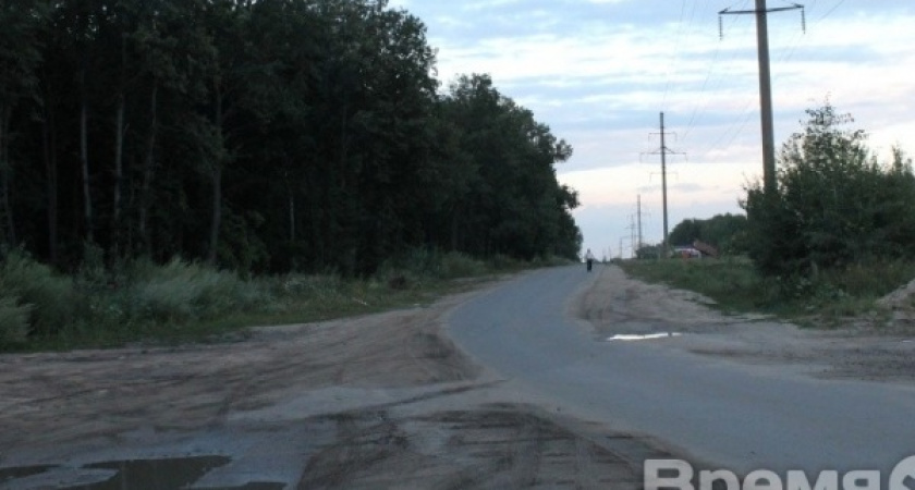 Леса в пригородных зонах Воронежской области отдадут в аренду