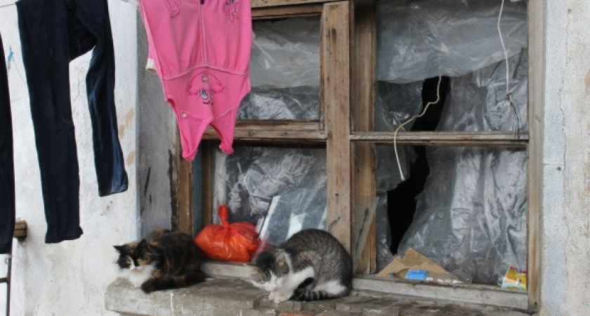 Под Воронежем власти предложили погорельцам негодную комнатушку в общаге