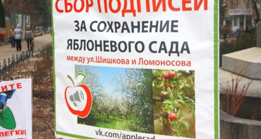 Деревья в воронежском яблоневом саду вырубили незаконно