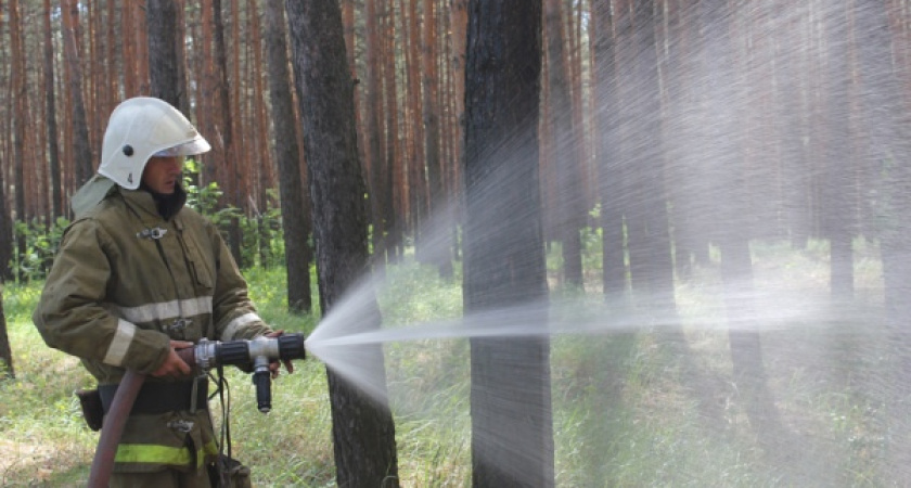 В Воронежской области введен особый противопожарный режим
