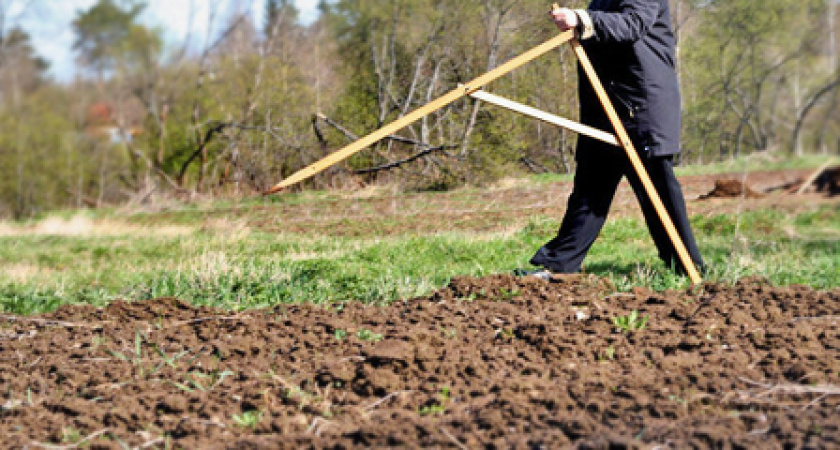 Воронеж: мир хижинам, цена - дворцам