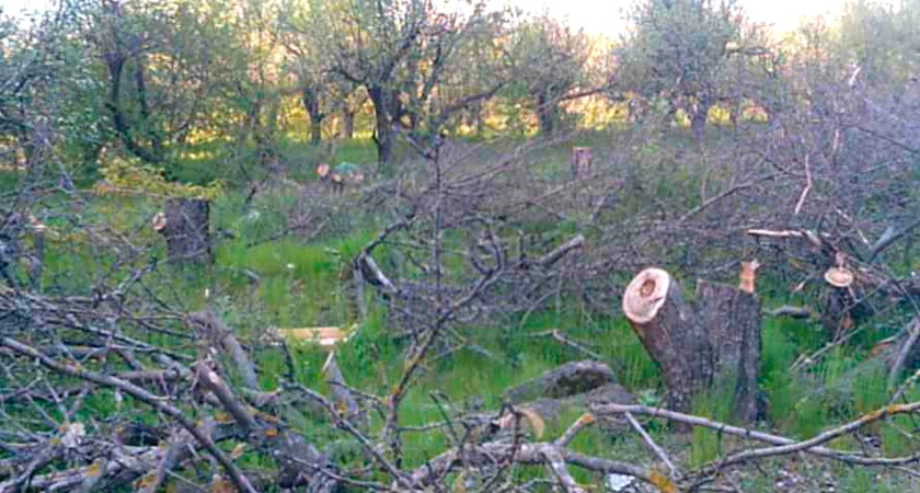 Похищенный земельный участок мэрия Воронежа переводит в зону застройки