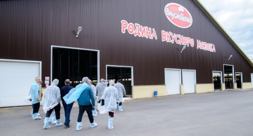 Воронежский «Молвест» будет сотрудничать с Израилем 