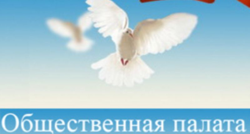 Воронежская общественная палата обзаведется собственным  аппаратом