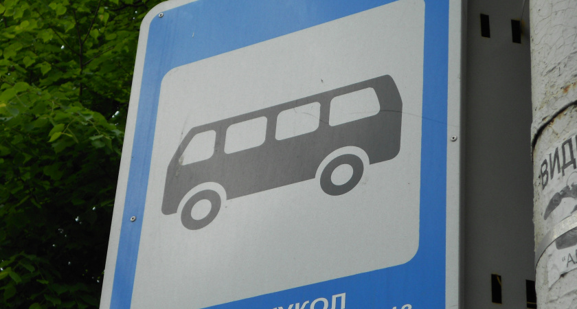 Право повышать тариф на проезд в воронежских маршрутках передадут мэрии