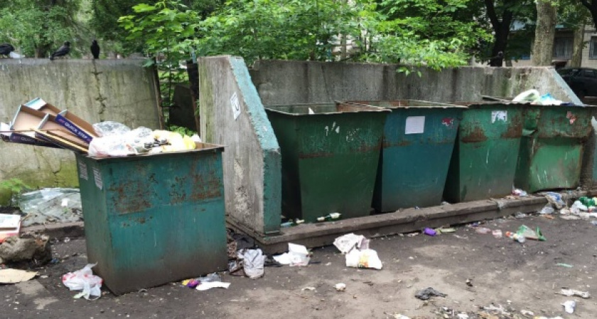 В Воронеже из-за припаркованных авто мусоровозы не могут подъехать к контейнерам 