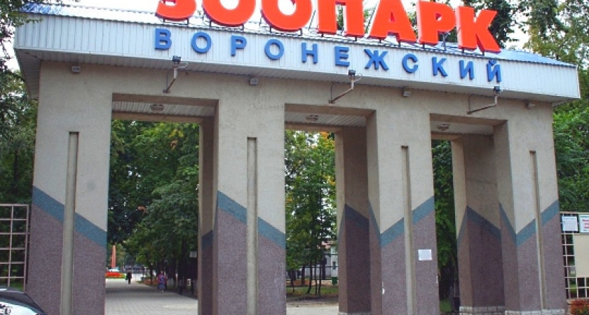 В Воронежском зоопарке обнаружена недостроенная конюшня