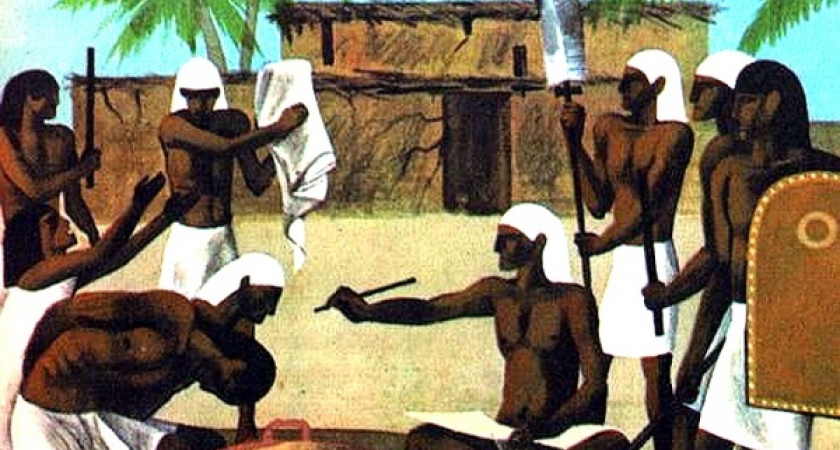 Зарплата в Воронеже как зебра: вчера - черная, нынче - белая