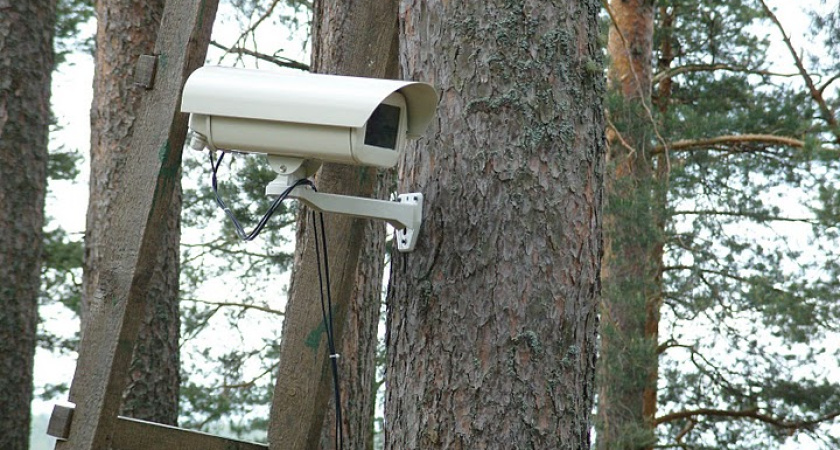 Воронежский губернатор распорядился ввести круглосуточное видеонаблюдение в парках