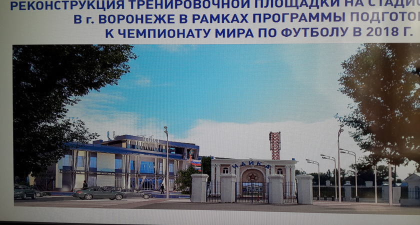 Мэрия Воронежа объявила аукционы на реконструкцию стадионов к футбольному чемпионату мира