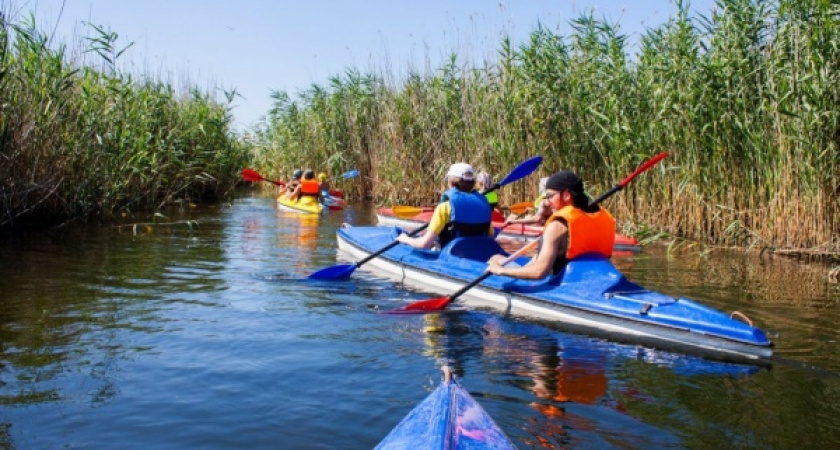 Воронежская область в развитии туризма осталась без федеральной поддержки 
