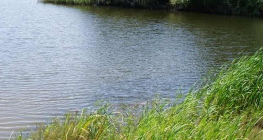 Роспотребнадзор назвал опасные воронежские пляжи 