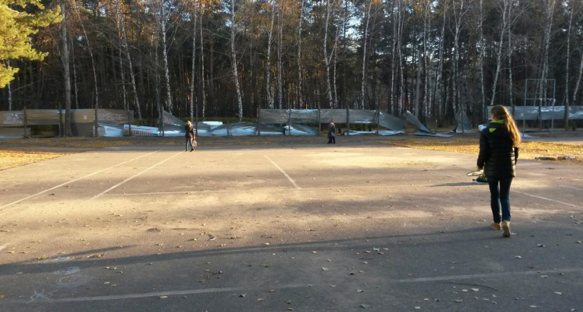 Вместо ледового дворца в воронежском «Танаисе» построят стадион 