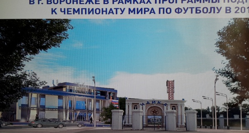 Правительство отказалось финансировать реконструкцию одного из двух воронежских стадионов  