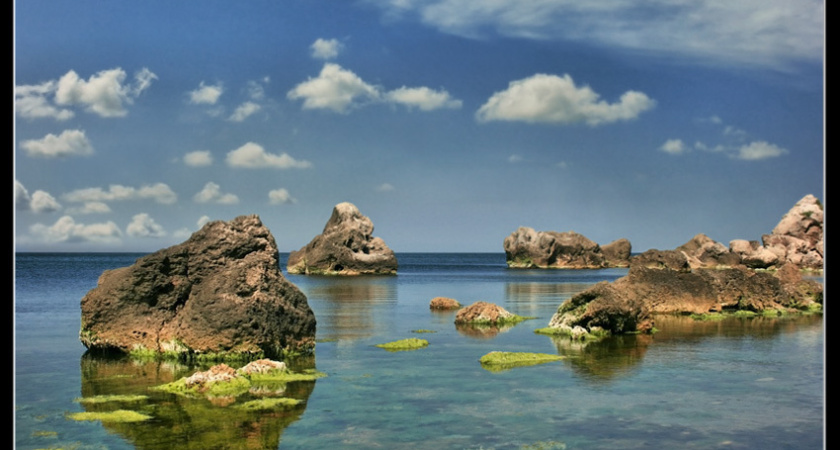 Воронежская область названа одним из самых бесконфликтных регионов