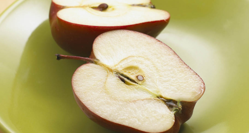 Воронежские демократы обречены делить между собой одного и того же избирателя