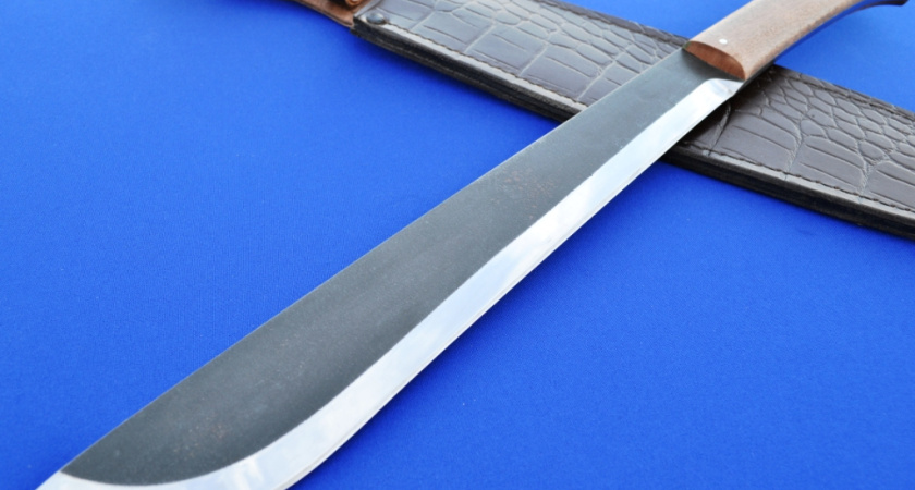 Бандиту, отрубившему руку воронежскому спасателю, предъявлено обвинение