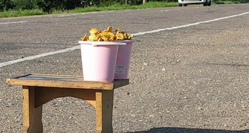 Воронежский мэр о придорожной торговле: «Сумасшествие какое-то!»