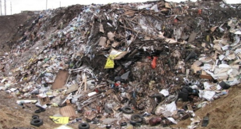 Воронежская область оказалась в середине рейтинга Гринпис 