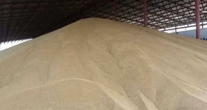 Воронежские аграрии не успевают за расходами населения