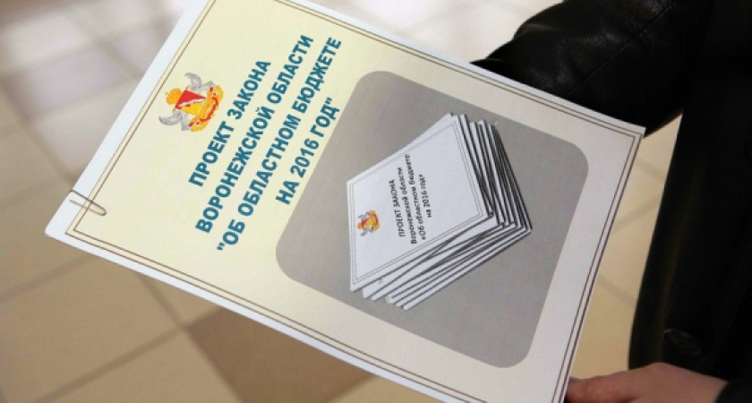 Федеральный центр стал скупее по отношению к Воронежской области