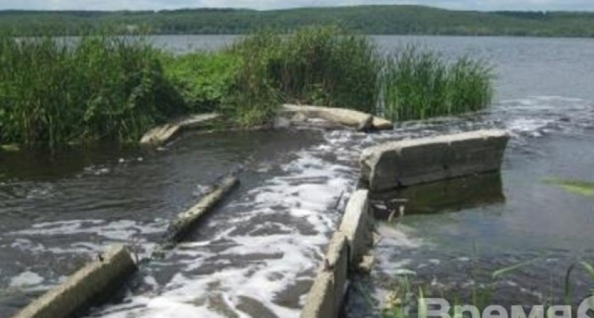 В Воронежское водохранилище запустят растительноядных рыб